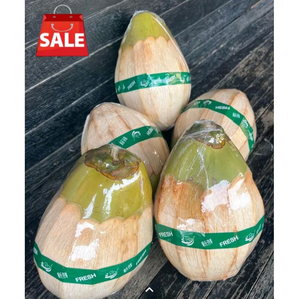 TERMURAH KLAPA KOPYOR UK SUPER 41-43 CM PETANI JAWA TENGAH