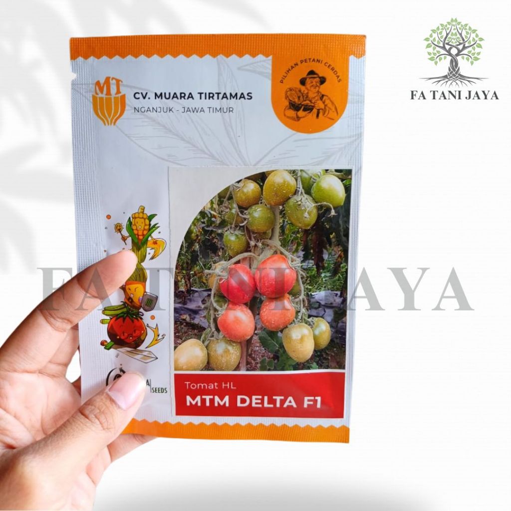 Benih tomat MTM Delta F1 isi 10 gram