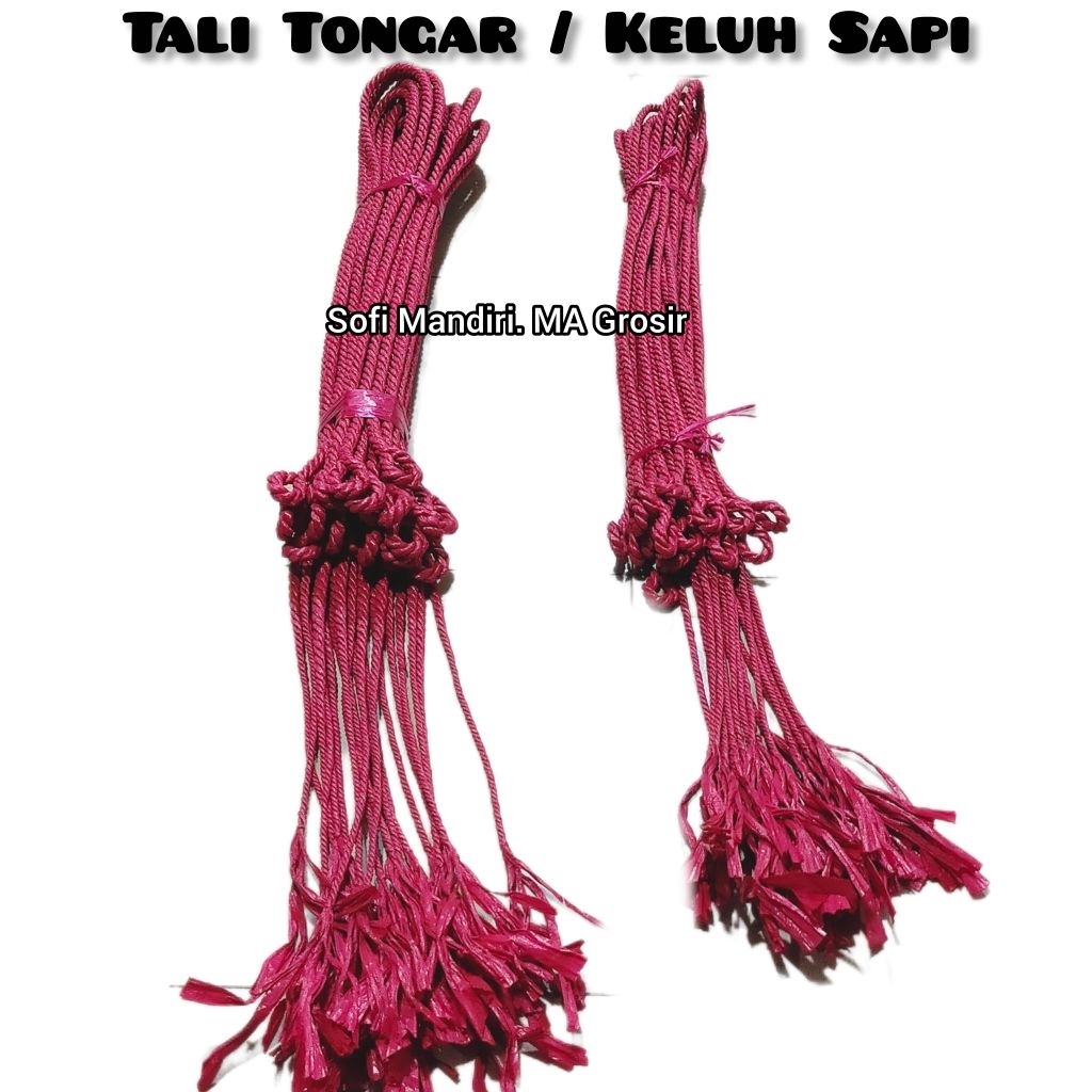 ( 1 Biji ) Tali Tongar / Teluh Sapi / Tali Dadung Sapi/Brangus Sapi/Tali Pengikat Ternak Kuat Ulet B