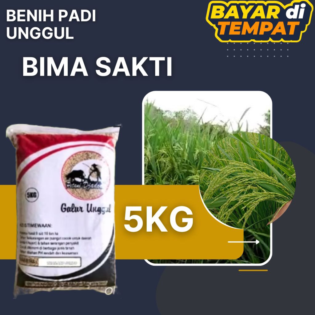 BENIH PADI BIMA SAKTI 5KG