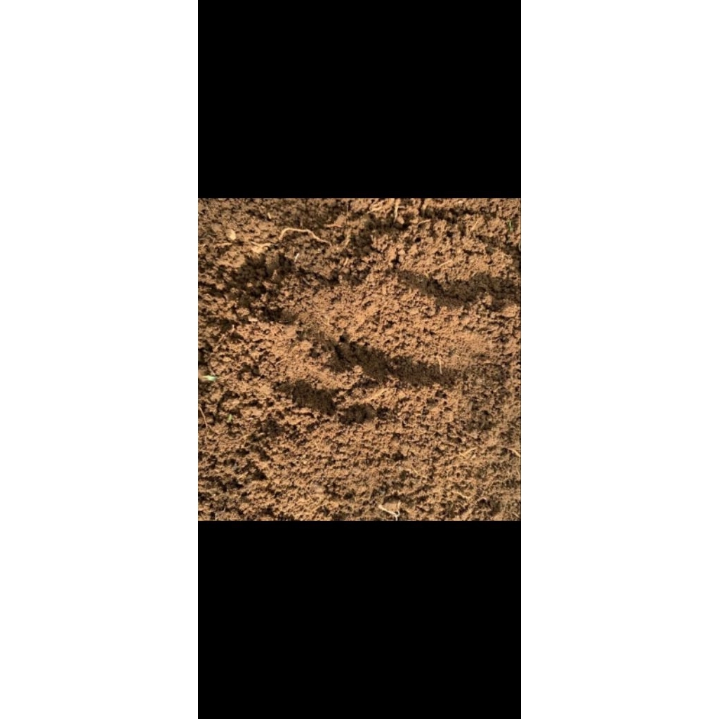 KEBUN RAYA- Media Tanam Tanah Halus