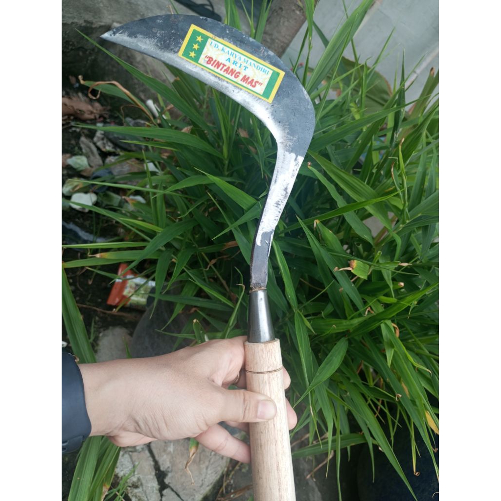 sabit/arit alat potong rumput ukuran sedang