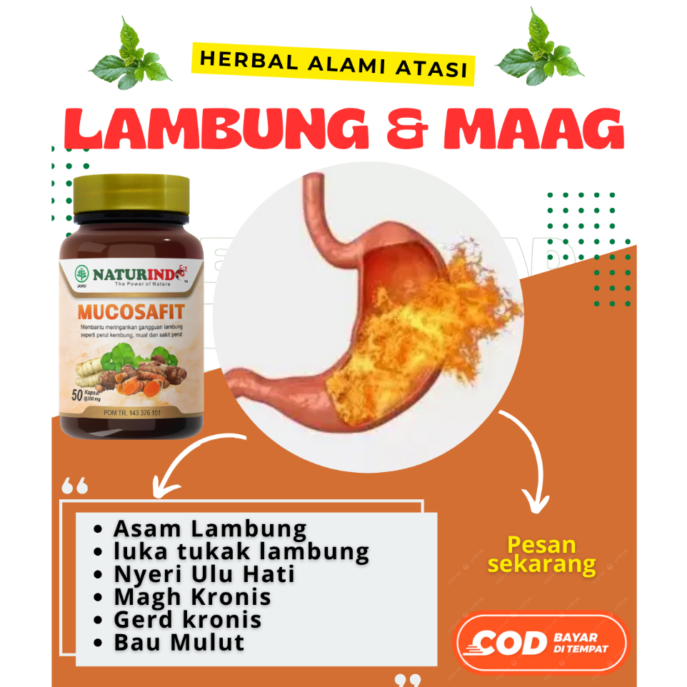 Mucosafit Naturindo Herbal Atasi Lambung & Pencernaan