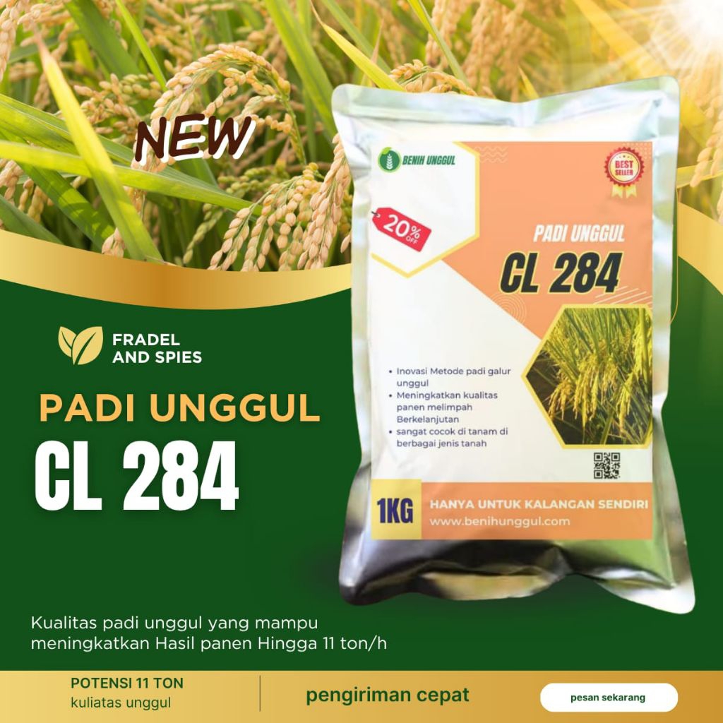 benih padi unggul CL 284 kemasan 1kg