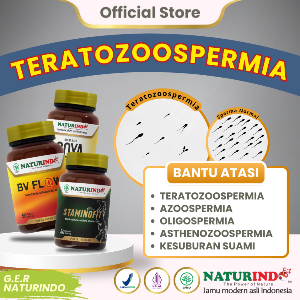 Herbal Teratozoospermia Bentuk Sperma Abnormal Kesuburan Sperma Pria Staminofit GER NATURINDO