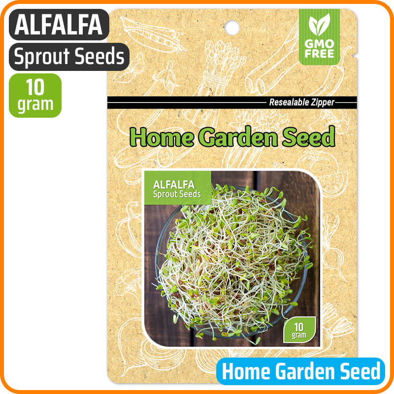 Benih Alfalfa Sprout - Home Garden Seed