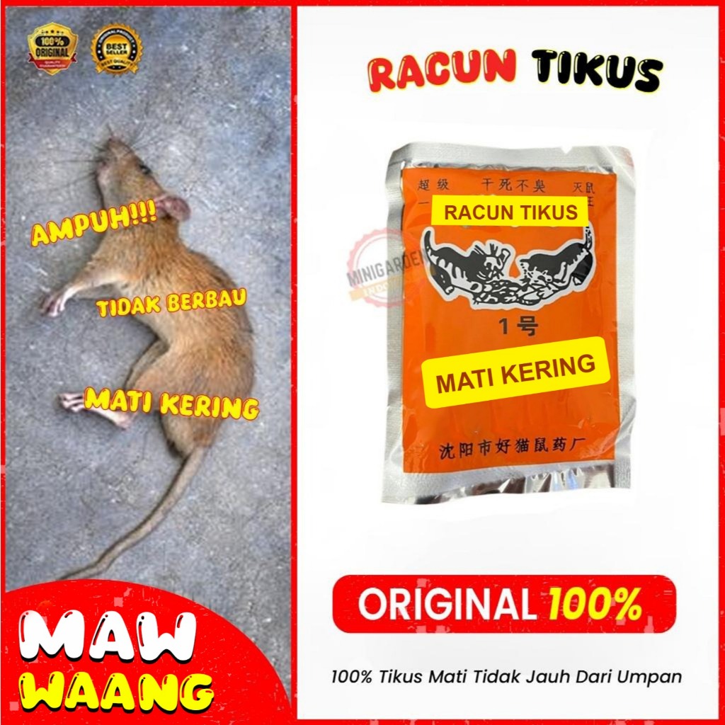MAW WAANG RACUN TIKUS MATI KERING beras merah umpan tikus mati kering obat maw waang