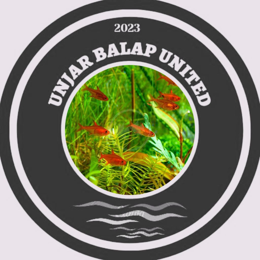 10pcs amandae accessories aquarium