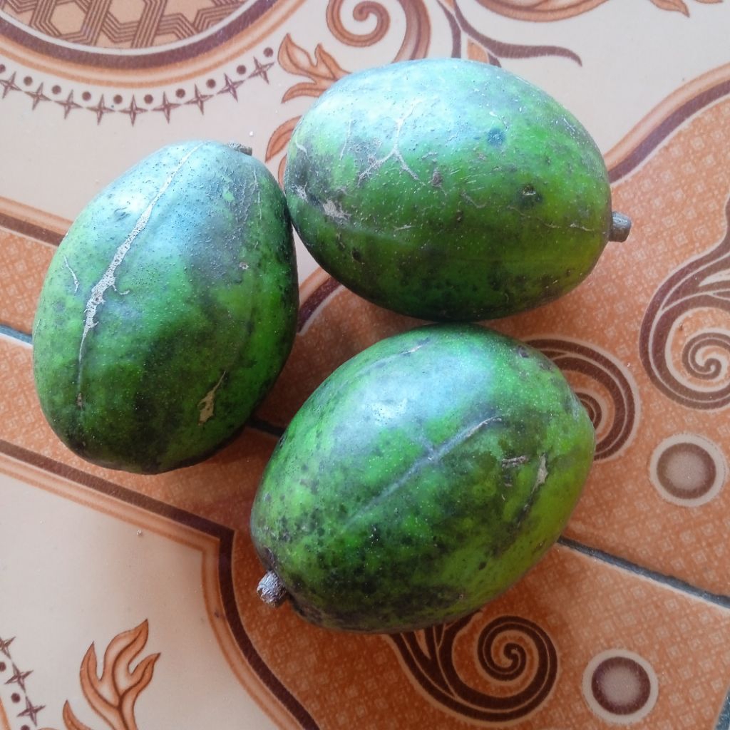 buah kedondong bangkok