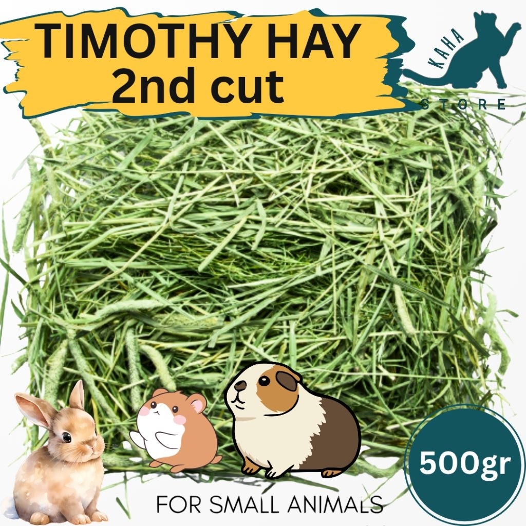 500 Gram Timothy Hay Rumput Kering Berkualitas untuk Kelinci dan Hamster