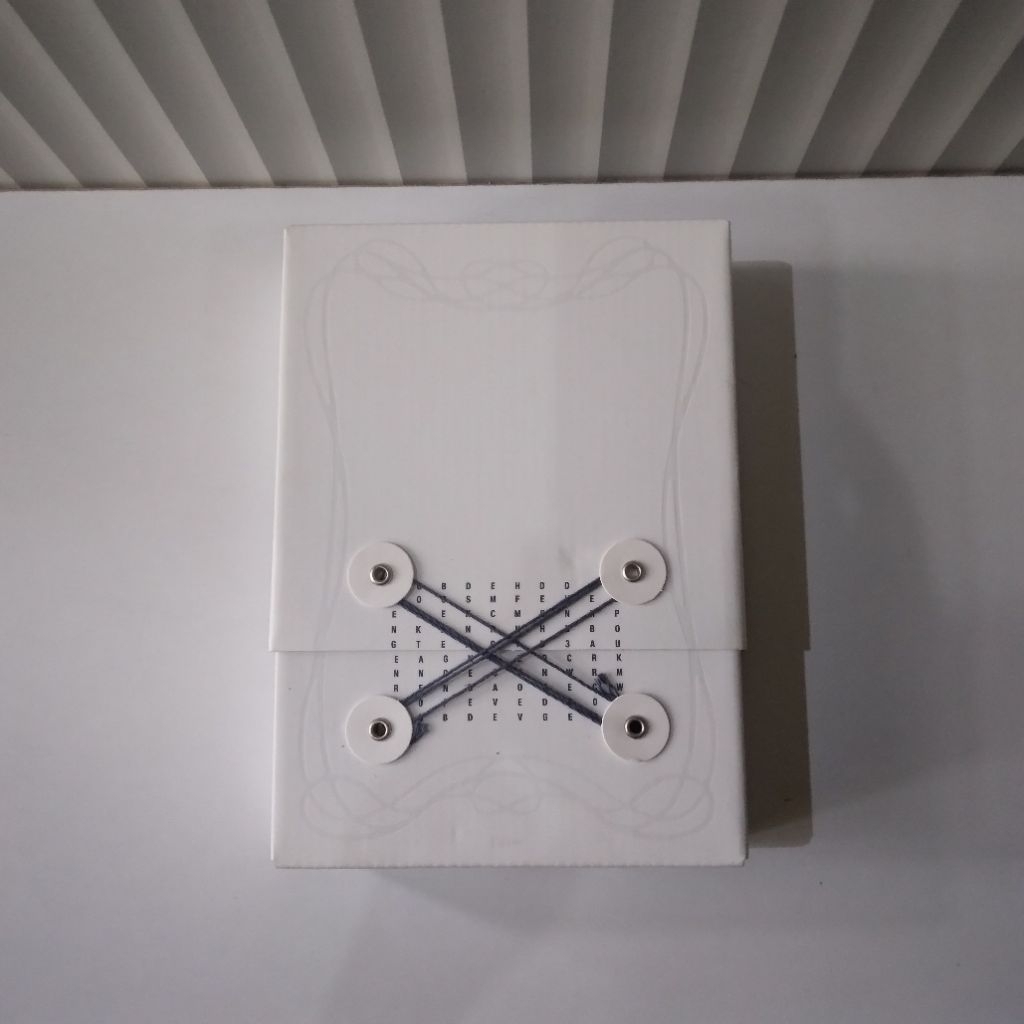 READY (minus digicode) ENHYPEN Walk The Line in Goyang World Tour Concert WTL Photobook