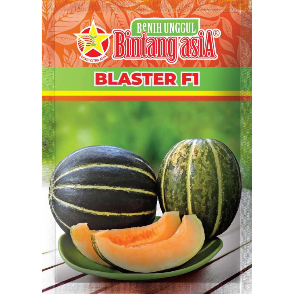 BENIH BLEWAH BLASTER F1 KEMASAN 15 GRAM BINTANG ASIA