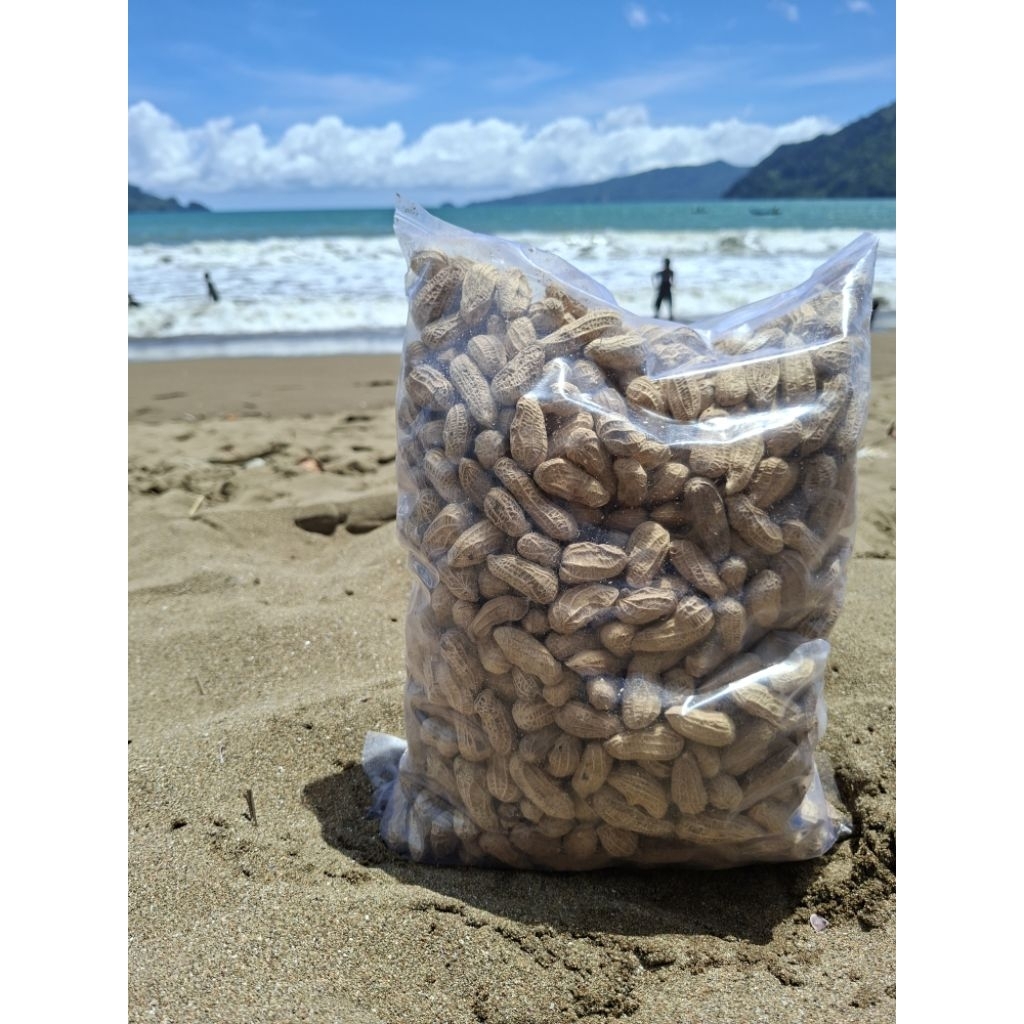 KACANG KULIT SANGRAi ORIGINAL 5 kg || gurih | renyah | manis sedikit asli dari kacang original