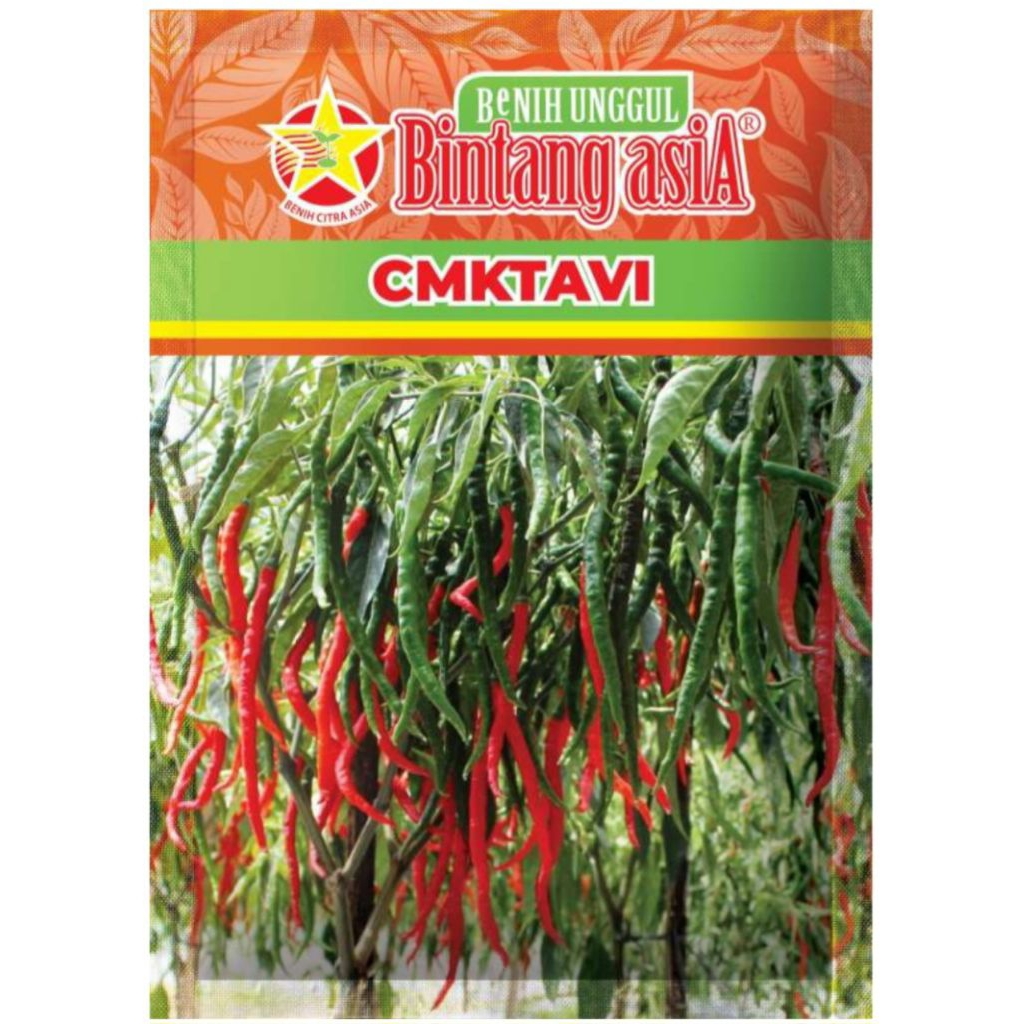 Benih cabai kriting CMK TAVI 10 Gram Bintang Asia