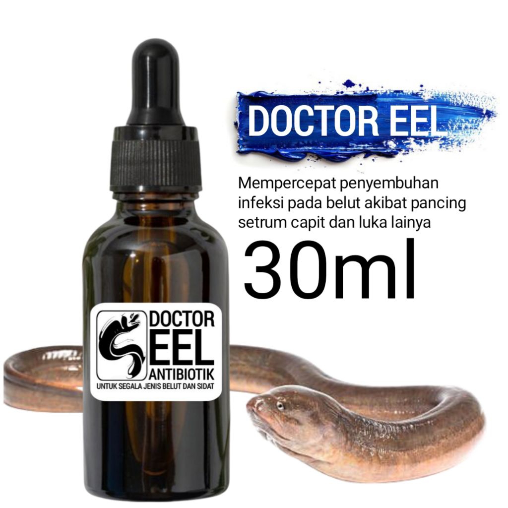 Antibiotik bibit belut ternak