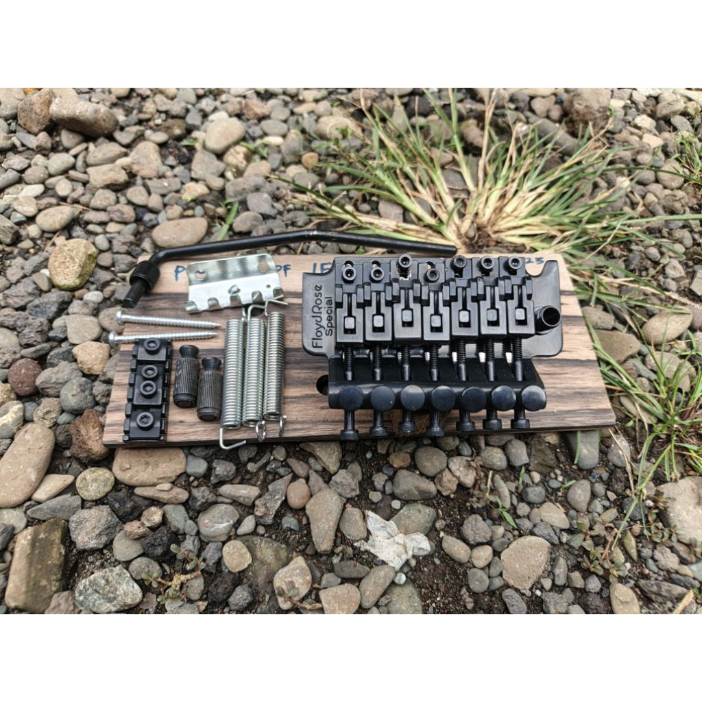 Tremolo Gitar Floydrose Special FRT-S2000 7 String