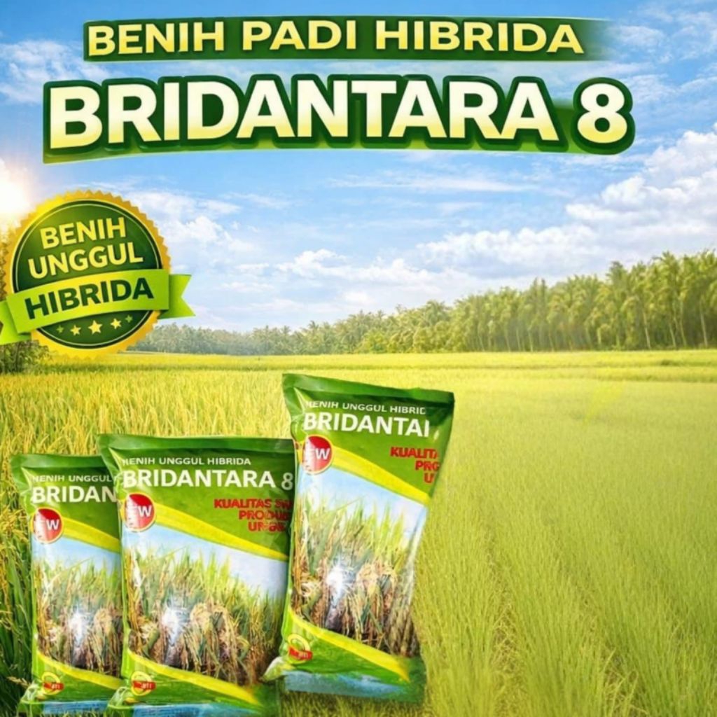 BENIH PADI HIBRIDA BRIDANTARA 8 (2 KG)