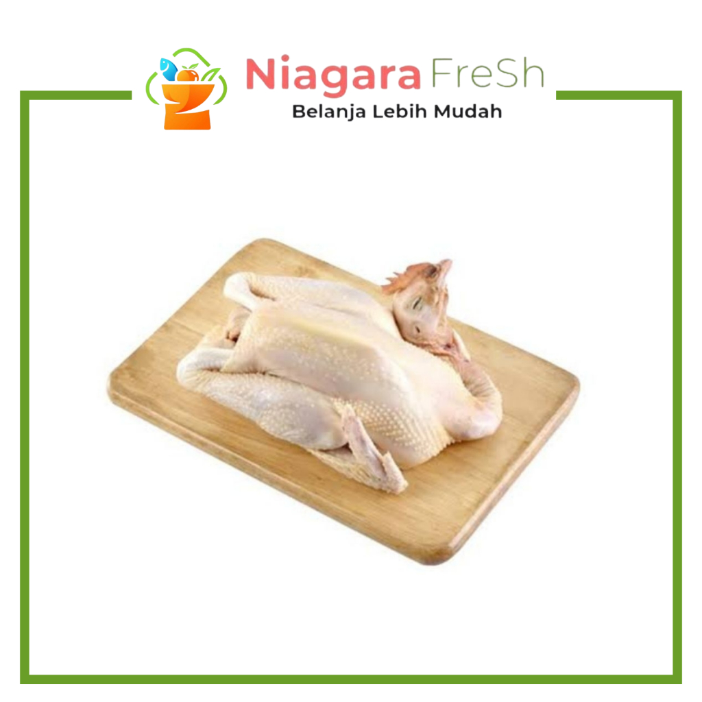 Ayam Pejantan Segar - Daging Ayam Pejantan Utuh Fresh