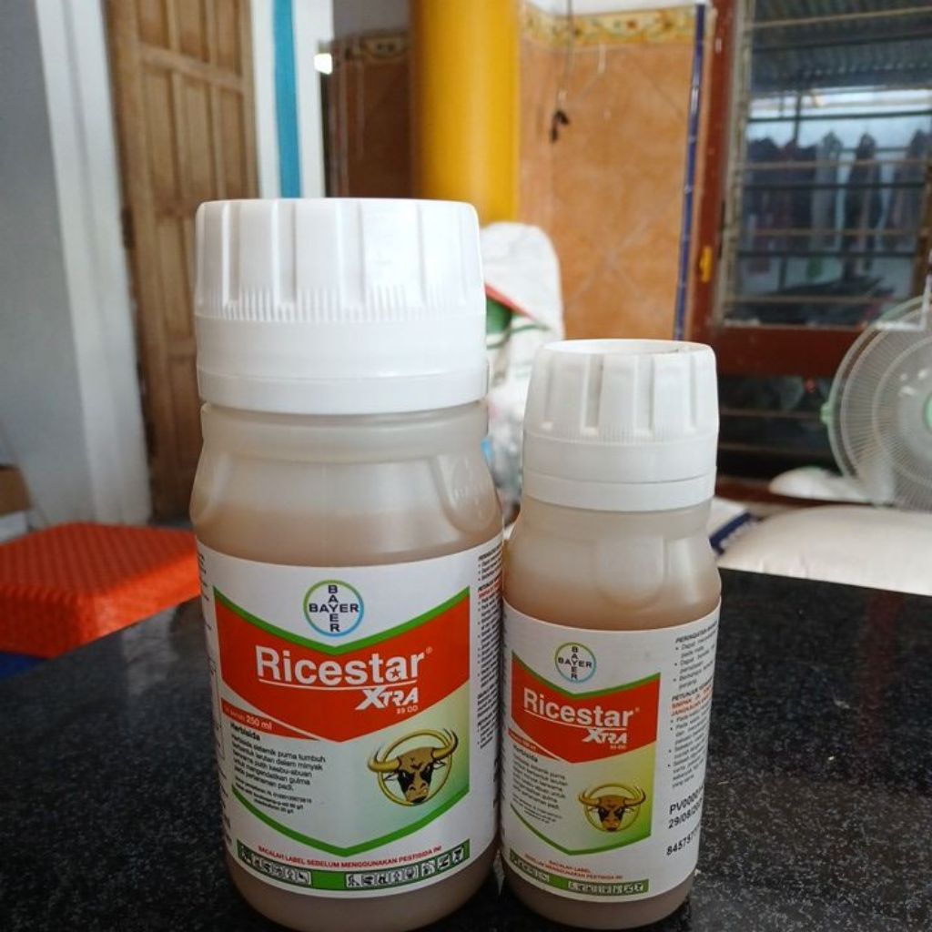 Ricestar Xtra