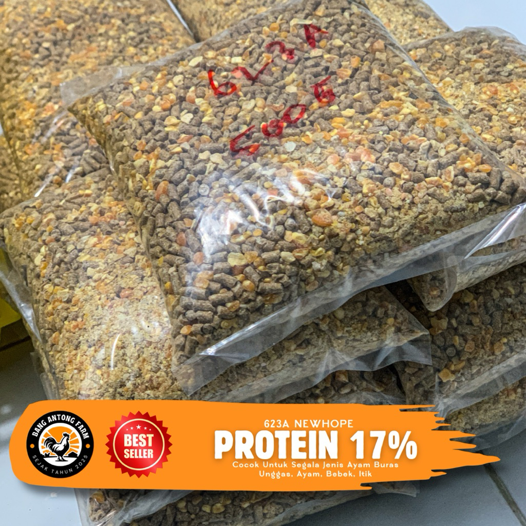 PAKAN AYAM PETELUR BERKUALITAS