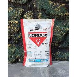 FUNGSIDA BAKTERISIDA NORDOX 56WP TEMBAGA 100GR