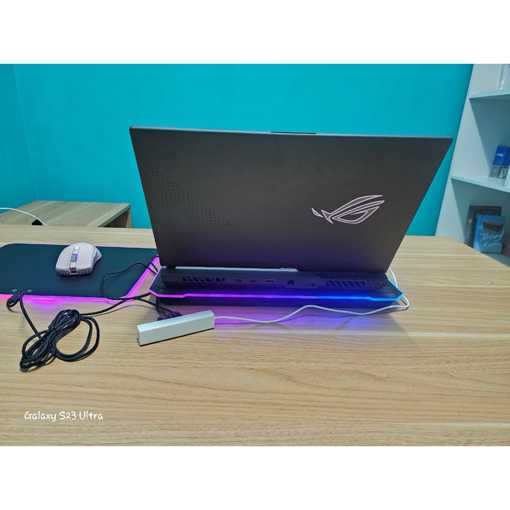 ASUS ROG STRIX G15 G513RM