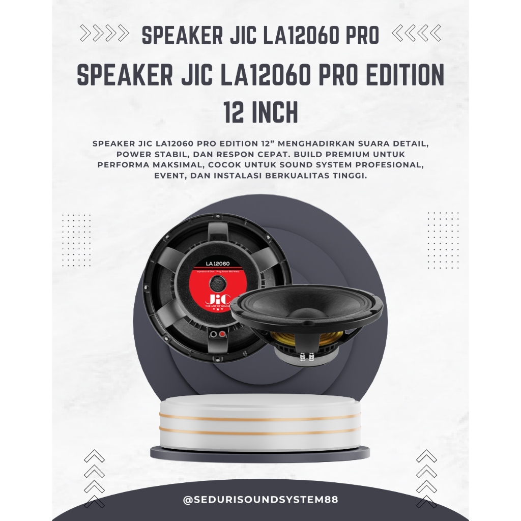 Speaker JIC LA 12060 12 Inch 550 Watt JIC LA 12060 Pro