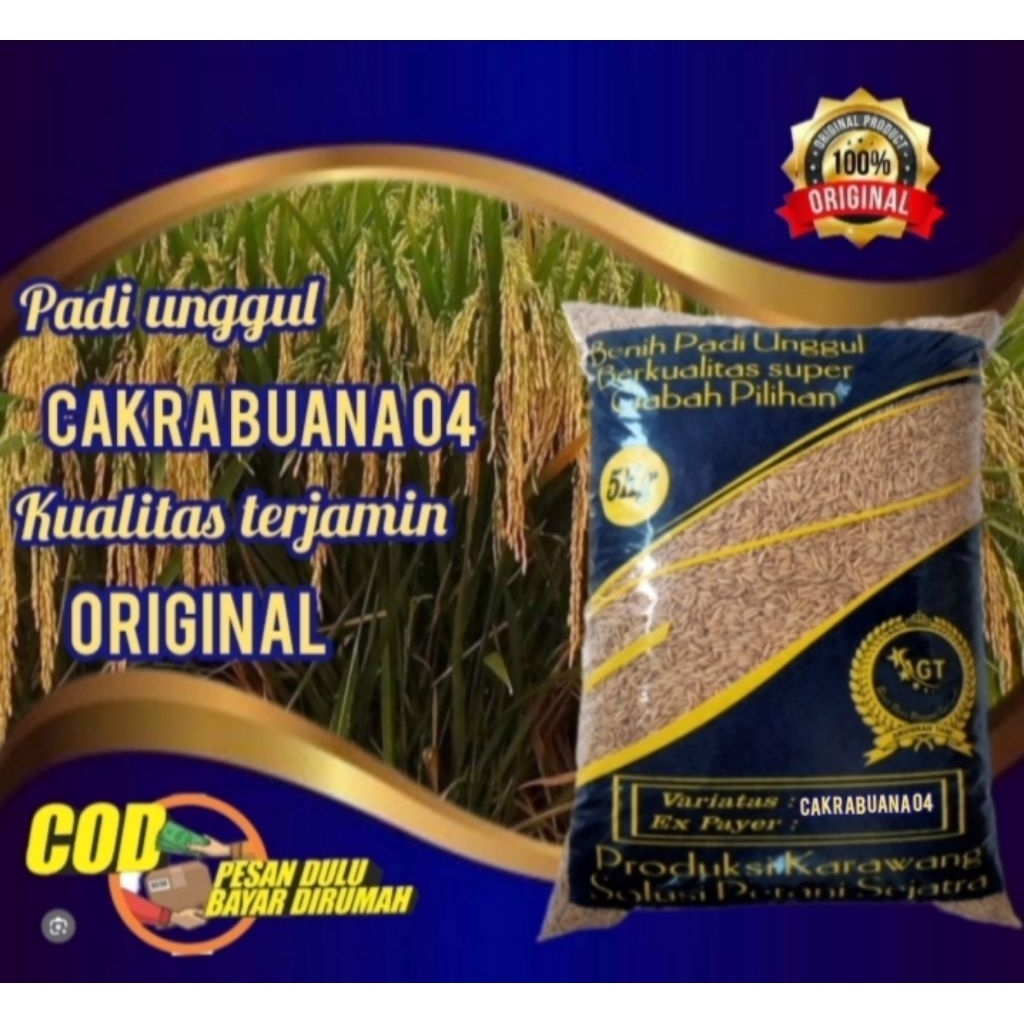 Benih padi unggul CAKRABUANA 04 kemasan 5kg