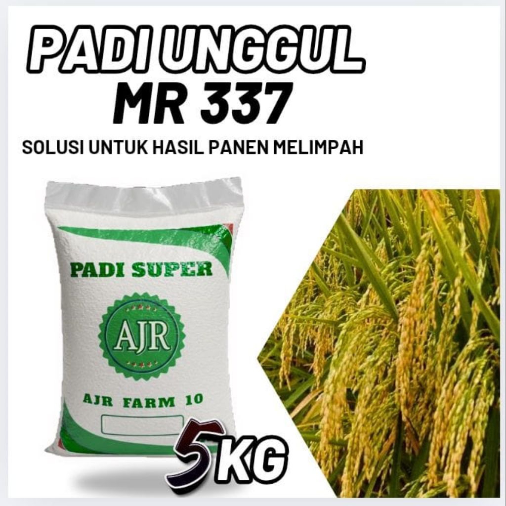 Benih padi unggul MR 337 (5Kg)