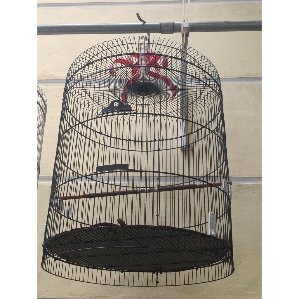 Kandang Burung Bulat Besi Preloved