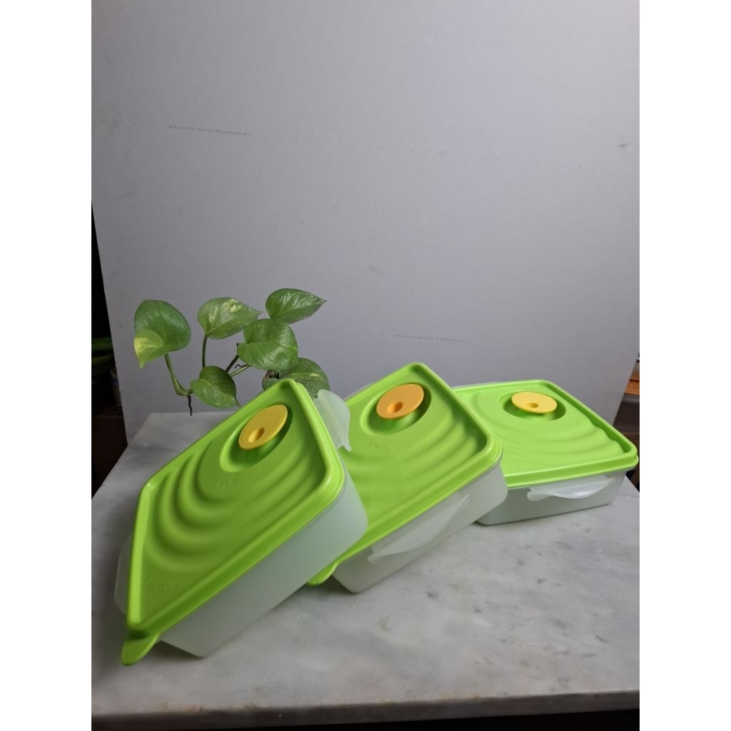 Goodie Box Tupperware 850ml Jadul | Wadah Makanan Microwave Food Container