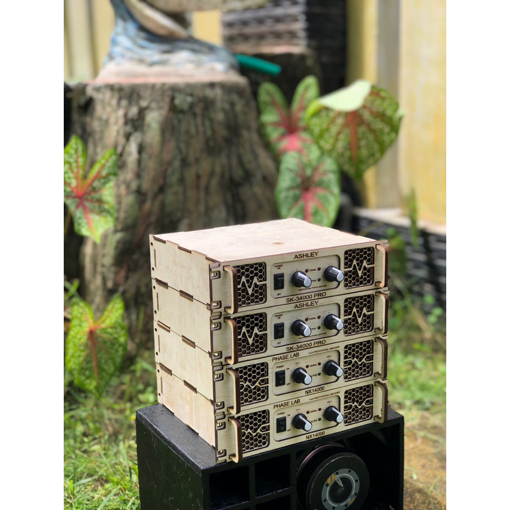 Power amplifier mini balap tpa3110 model built up