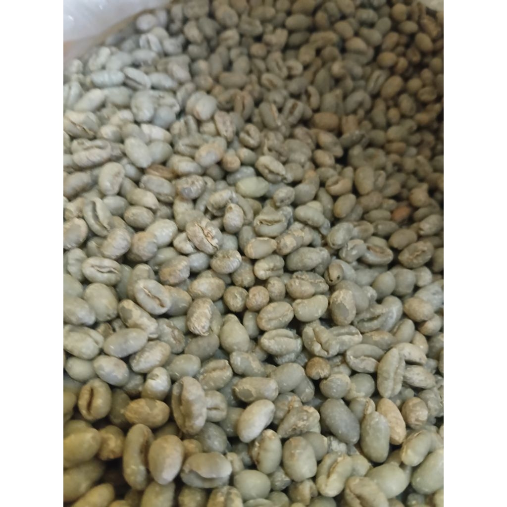 arabica green bean fullwashed peaberry