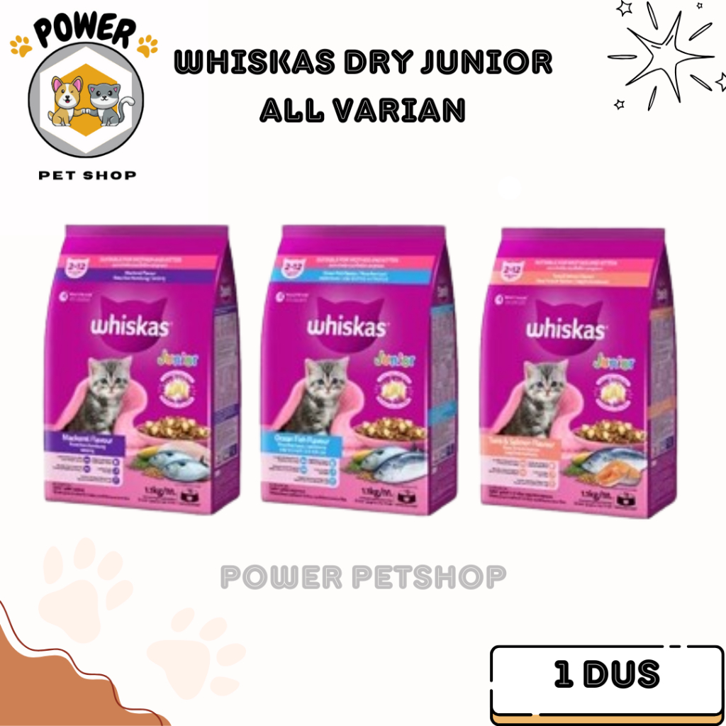 Makanan Kucing - Whiskas Dry Food Junior 1,1kg 1DUS [isi 6]
