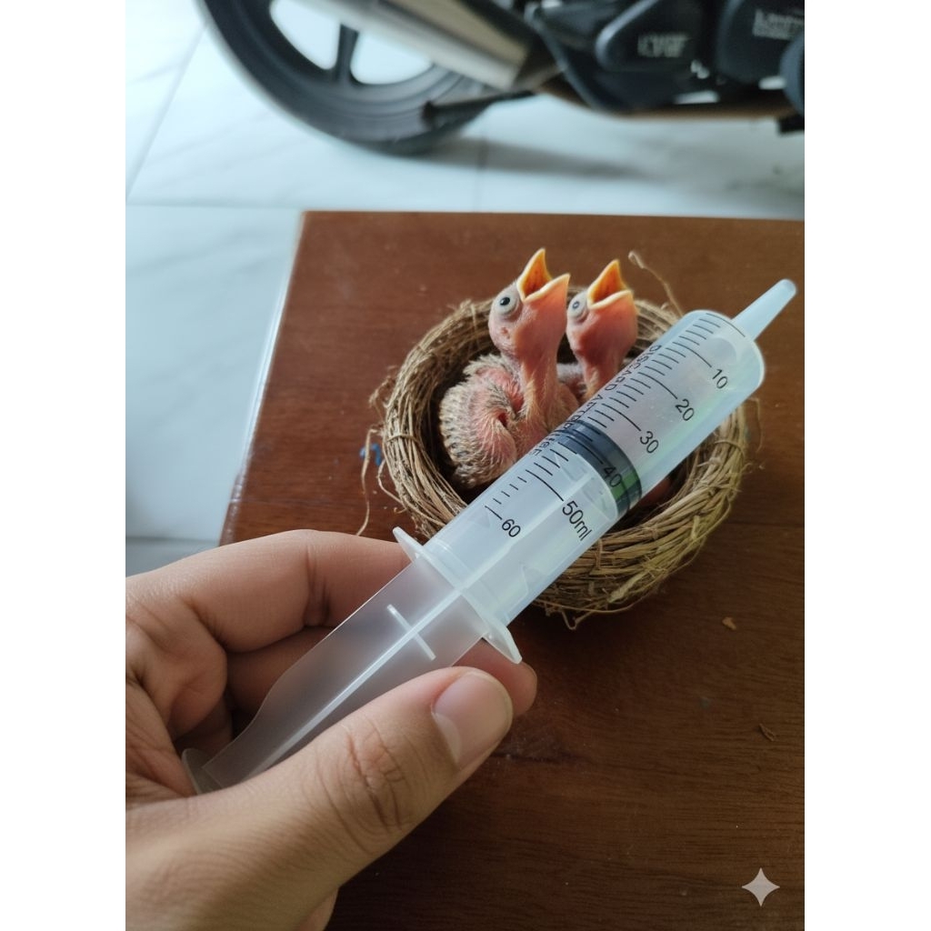 Sepetan lolohan anakan burung/unggas