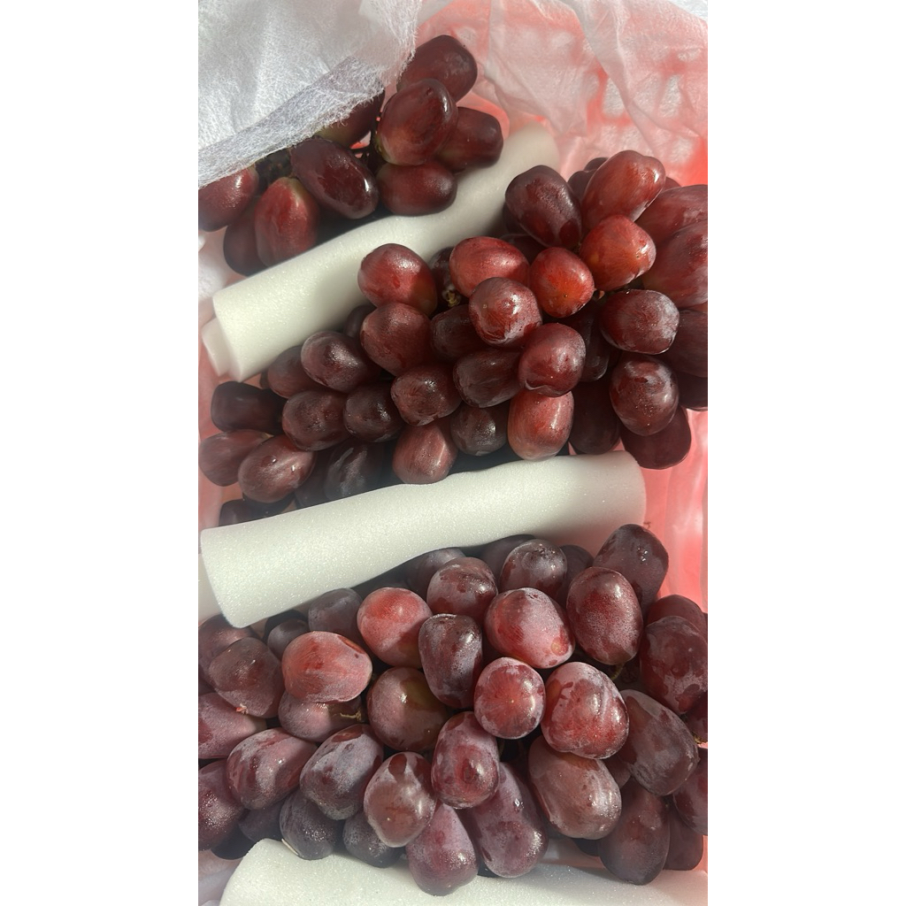 Anggur Red Muscat Maniss anggur renyah Muscat