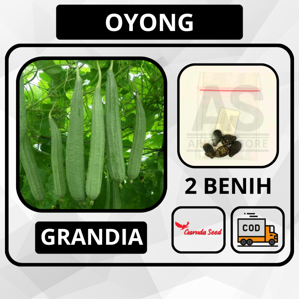 2 Butir - Oyong / Gambas  F1 GRANDIA Garuda Seed Bibit Sayuran Tanaman