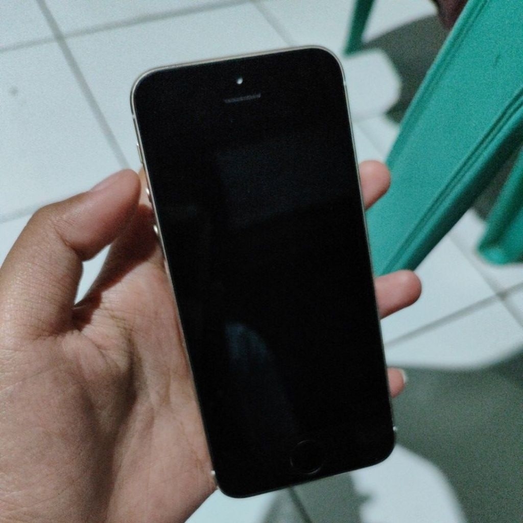 iPhone 5s