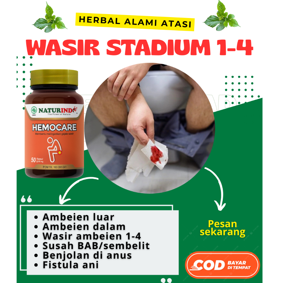Obat Wasir Ambeien Hemocare Herbal Ampuh 50 Kapsul Obat Wasir Stadium 4 Ambeien Paling Ampuh Herbal