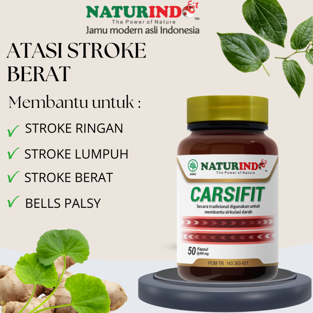 Obat Stroke Struk Herbal Obat Stroke Ringan Berat  Carsifit Naturindo