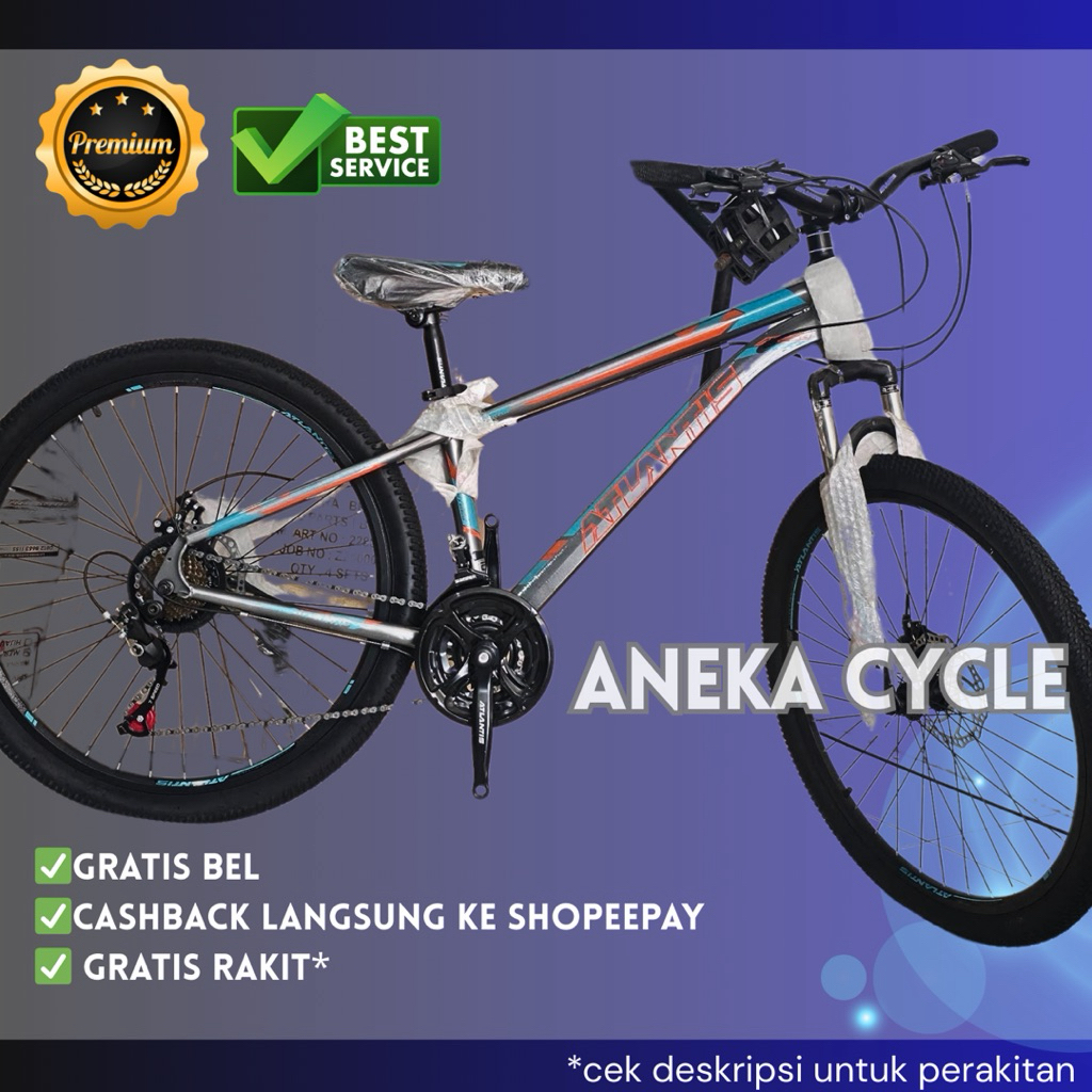 Sepeda Road Bike Evergreen Gravel 700 x 38c Speed 7x3 Rem Cakram Depan Belakang Frame Besi