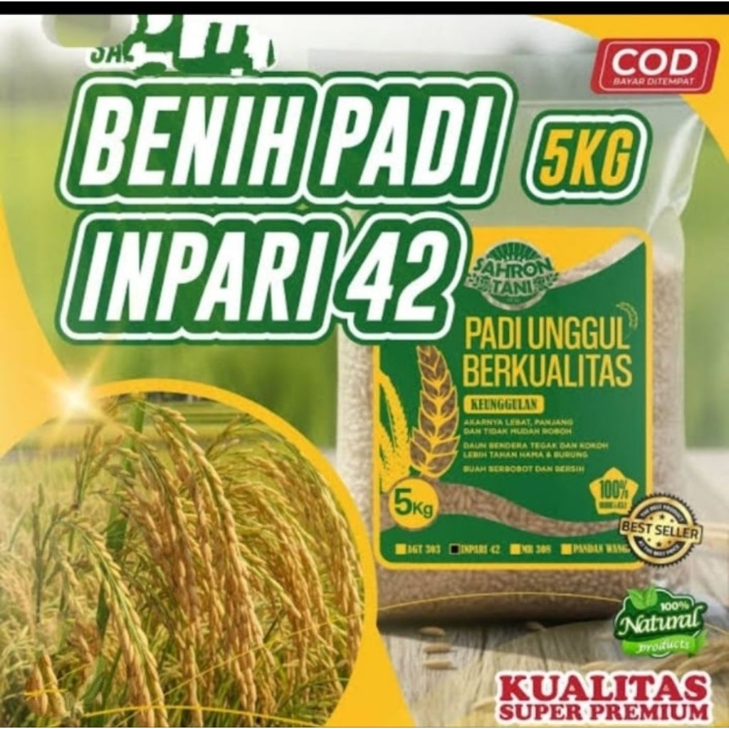 BENIH PADI INPARI 42 AGRITAN GSR KEMASAN 1 KG