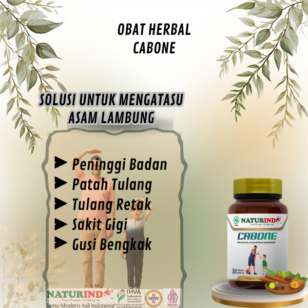 Obat Herbal peninggi badan pertumbuhan tulang dan gigi Obat Herbal CABONE Naturindo