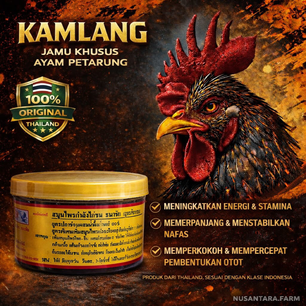 [THAILAND] KAMLANG BASAH GOLD IMPORT (400gr) - Kamlang Jamu Khusus Ayam Aduan/Ayam Laga