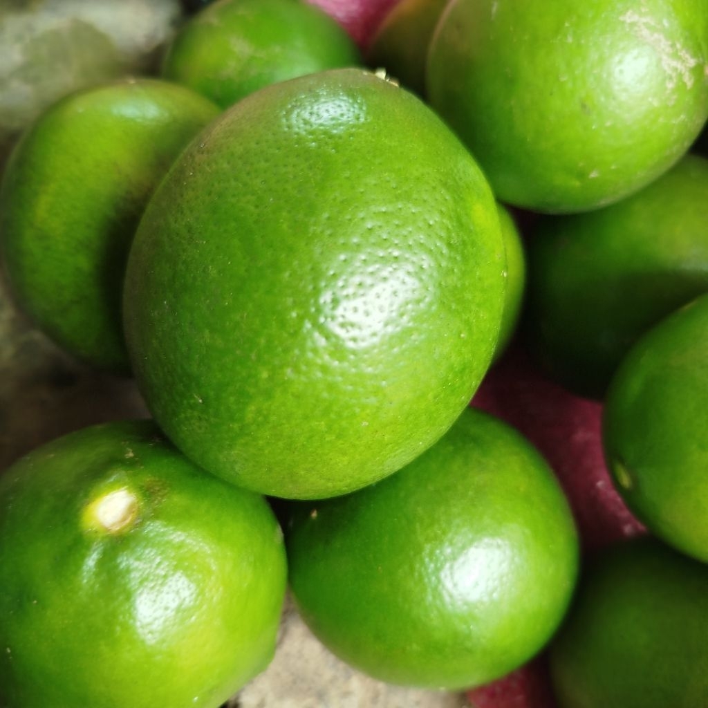 Jeruk Lemon 1kg
