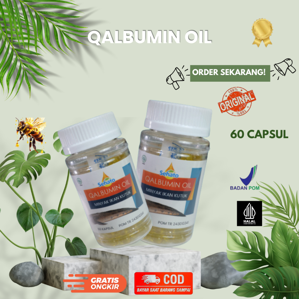 Qalbumin Oil Minyak Ikan Kutuk Gabus Alami 60 kapsul Menjaga kadar albumin & protein tubuh, Baik unt