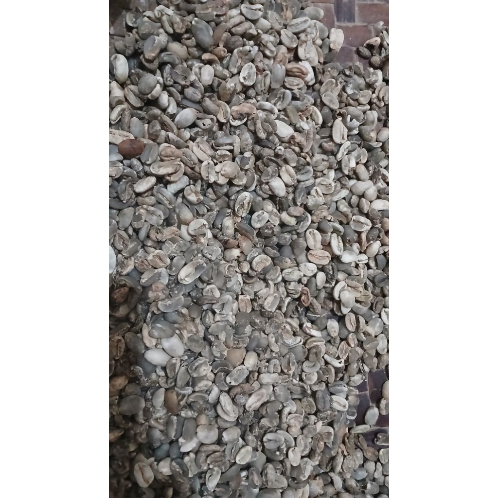 Green Bean Arabika Asalan 1 Kg