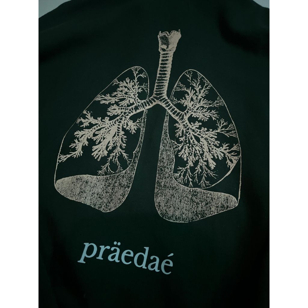 Praedae sycamore