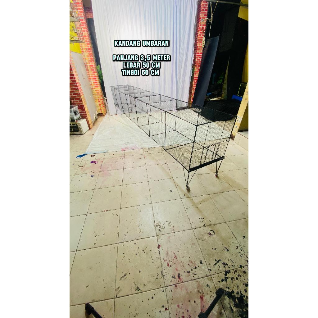 kandang UMBARAN  POLIER TENGGARAN burung juara lomba murai/kacer/cucak ijo/kenari/love bird bongkar 