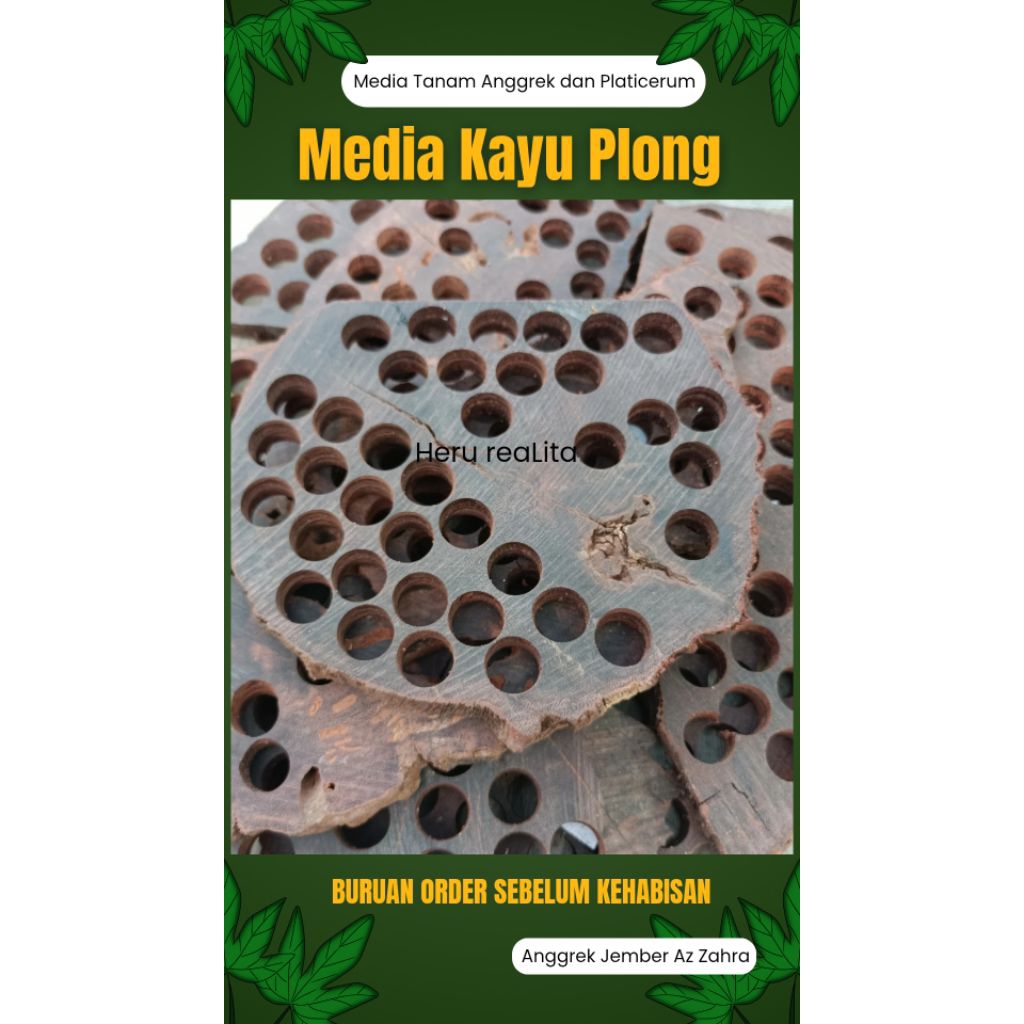 Media Tanam Anggrek dan Platicerum/Kayu Plong/Papan Kayu/Papan Platicerum/Papan Anggrek